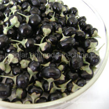 Getrocknete Goji Beere getrockneter schwarzer Wolfberry